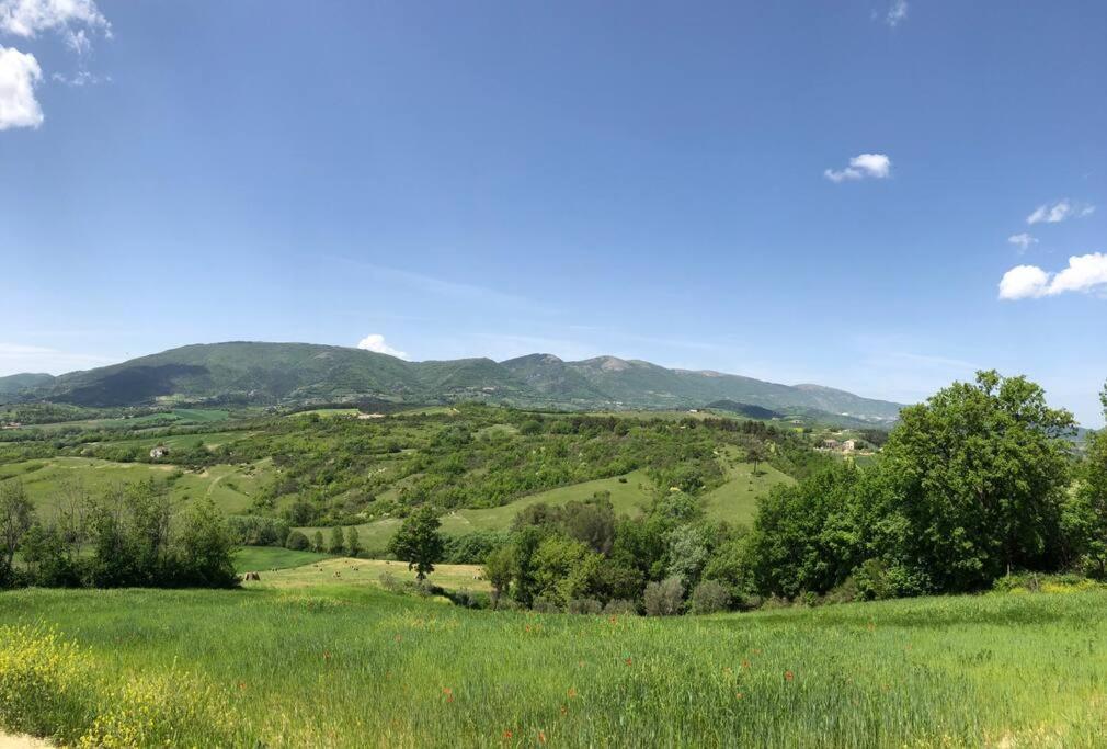 Casa Vacanze Vecchio Frantoio Residenza Leccino Spoleto Exterior foto